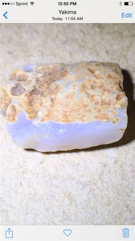 Ellensburg Blue Agate Rocks And Crystals Rocks And Minerals Rocks