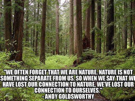 We Often Forget That We Are Nature Nature Is Not Something Separate