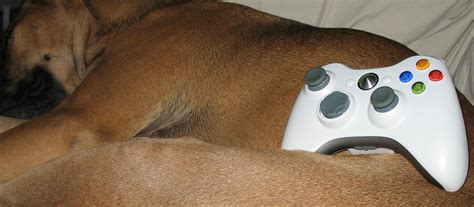 360controllerondog This Is A Picture Of An Xbox 360