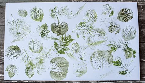 3 Ways To Make Prints With Leaves Hobby Farms