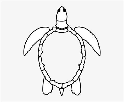 Sea Turtle Outline Png Image Transparent Png Free Download On Seekpng