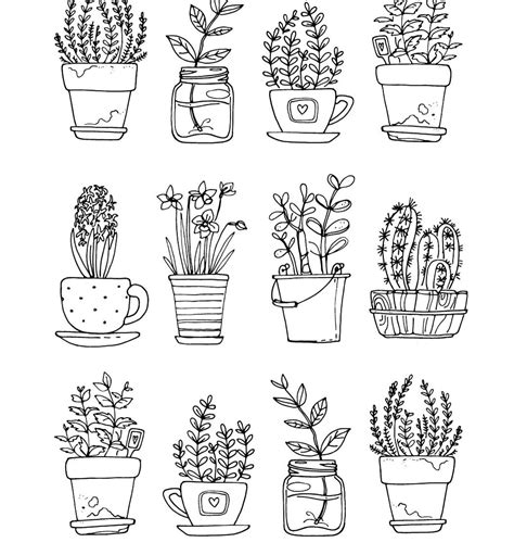 Pin By Lyndel Annabella Darling On Printables Plant Drawing Doodle