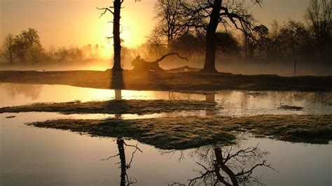 Swamp Sunset Photography Wet Golden Sky Water Trees Nature