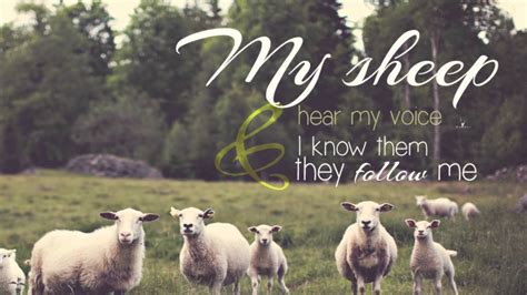My Sheep Listen To My Voice I Know Them And They Follow Me Daily
