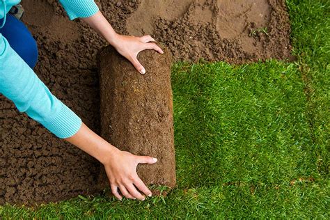 How To Lay Sod In 6 Easy To Follow Steps The Garden Glove