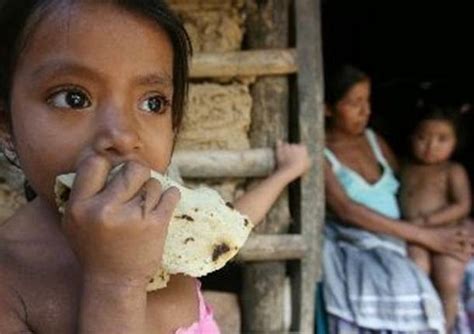 Veinte Millones De Niños Mexicanos Viven En La Pobreza Deochonews