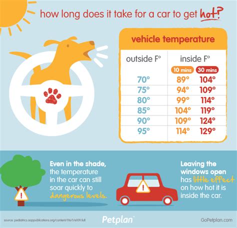 So you may need to take extra care to make sure that picky drinkers get enough water. 5 Hot Weather Hazards for Dogs—and How to Help | The Dog ...