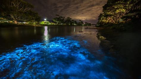 Bioluminescent Mosquito Bay Puerto Rico She Is Wanderlust Travel