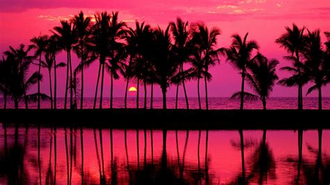 Hawaiian Pink Sunset Over The Beach Wallpaper Backiee