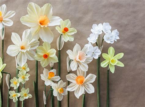 10 Paper Flower Diys For Spring Designsponge