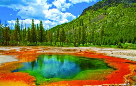 Overview of yellowstone national park, the oldest national park in the united states and home to the greatest concentration of hydrothermal features in the world. Yellowstone National Park | First Class Holidays