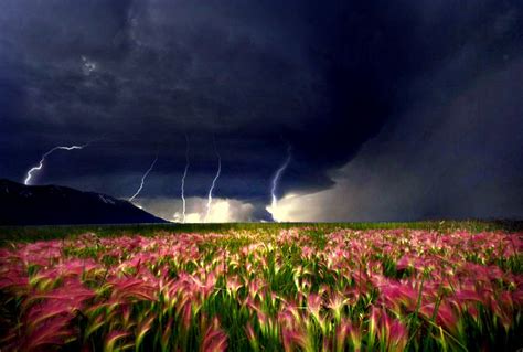 Storm Field Rain Clouds Stormy Moving Tornado Closer Weather Flowers