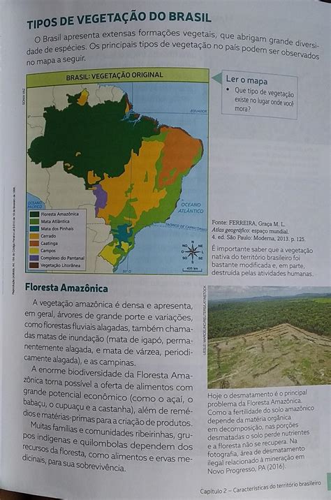 Resumo Sobre Tipo Vegetação Do Brasil Alguem Pode Ajudar Pfvr