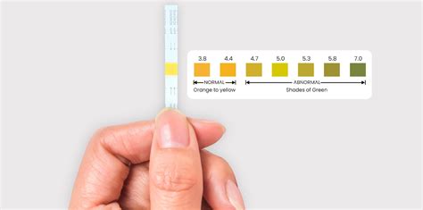 How To Carry Out An At Home Yeast Infection Test