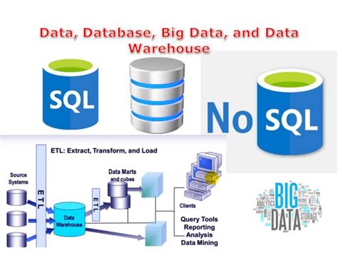 Data Data Type Database Big Data And Data Warehouse Software Testing