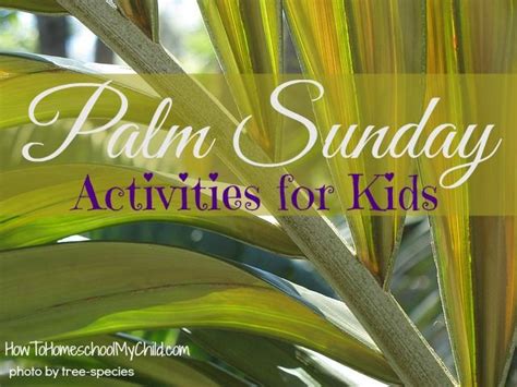 Sunday activities bible activities holy week events palm sunday lesson maze worksheet preschool bible lessons bible coloring pages worksheets for kids free printable. Palm Sunday Activities for Kids {Weekend Links} | This ...