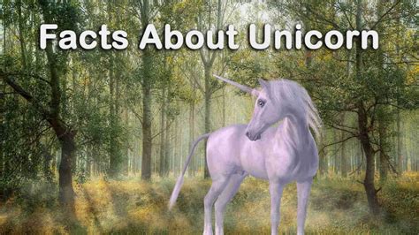 50 Facts About Unicorn Learn About Unicorns Topessaywriter