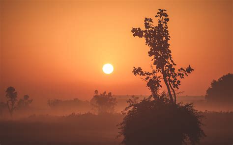 Foggy Sunrise 4k Wallpapers Hd Wallpapers