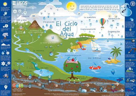 Infografías Del Ciclo Del Agua Para Primaria