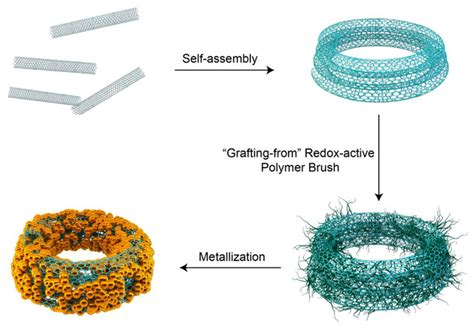 Schematic Illustration Of The Self Assembly Of Carbon Nanotubes Cnt Download Scientific