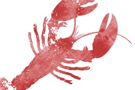 Lobster Illustration Animal Illustrations ~ Creative Market