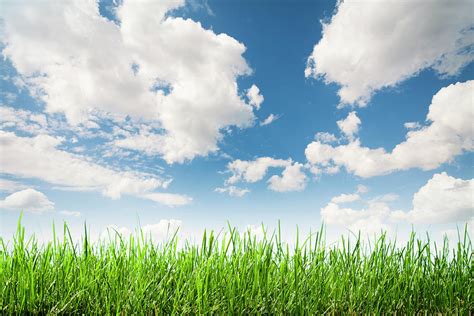 Grass Sky Clouds Background By Thomasvogel