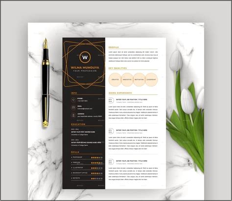 Fancy Resume Templates For Microsoft Word Resume Example Gallery