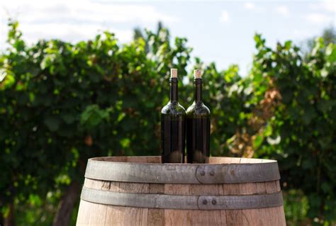 The Best Of Long Islands North Fork Wineries A Complete Guide Vino