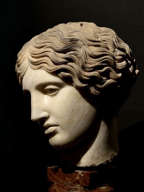 Head Of An Amazon Roman Sculpture Ancient Greek Sculpture Classic