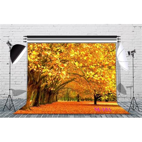 Greendecor Polyster 7x5ft The Golden Maple Leaves Of The World Autumn
