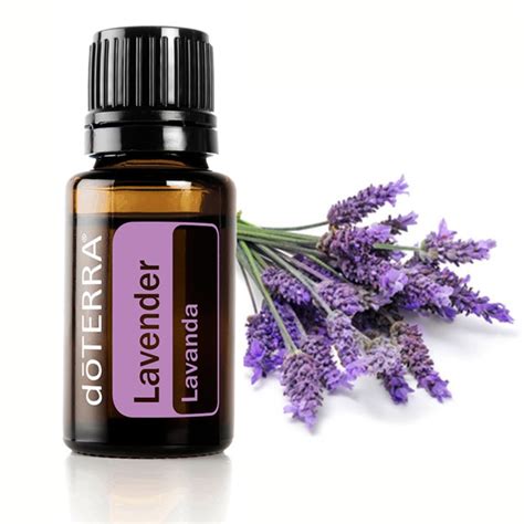 Descobrir Imagen Leos Essenciais Doterra Lavanda Br Thptnganamst