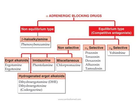 Alpha Adrenergic Blockers Pharmacology Studying Medical