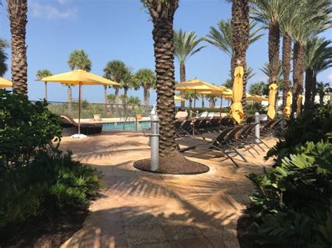 Pool Area Picture Of Hyatt Siesta Key Beach Resort A Hyatt Residence