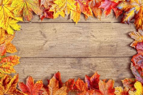 Autumn Leaf Border Stock Photo By ©springfield 11466303