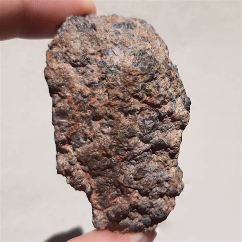 Nwa 14056 Meteorite New Diogenite From Erg Chech Region Meteolovers