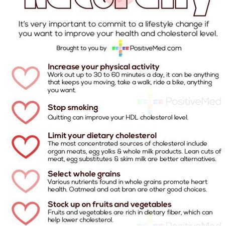How To Lower Your Cholesterol Naturally Infographic Best Infographics