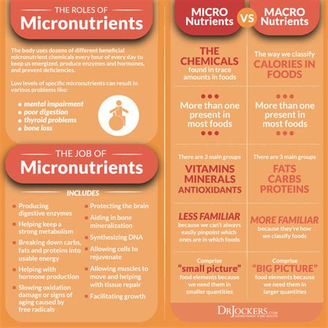 Macronutrients Micronutrients And Mesonutrients What This New