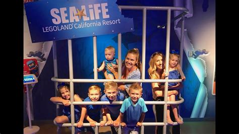 Sea Life Aquarium At Legoland California Youtube
