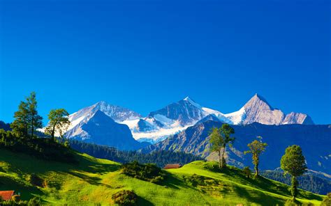Switzerland Alps Mountains Green Grass Trees Blue Sky Wallpaper