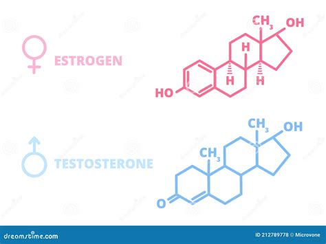 Testosterone Chemical Formula Cartoon Vector 154588941