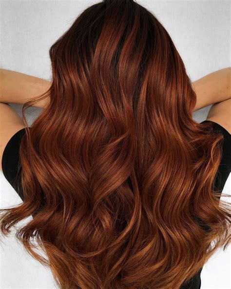 Top 48 Image Chestnut Auburn Hair Color Vn