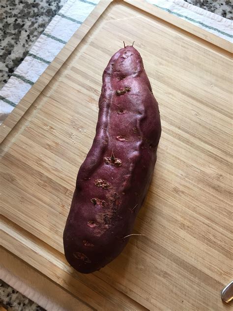 I Finally Found The Sub That Will Appreciate My Veiny Yam Rmildlypenis