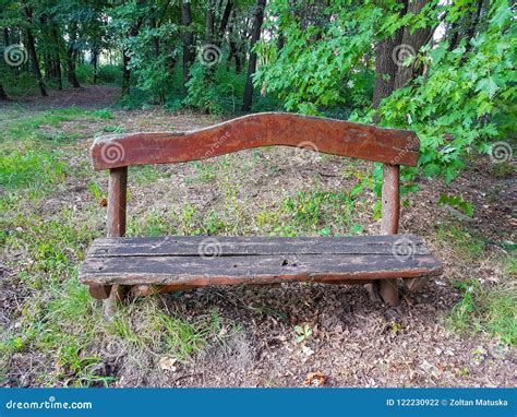 Park And Wooden Bench Natural Trees And Forest Stock Photo Image Of