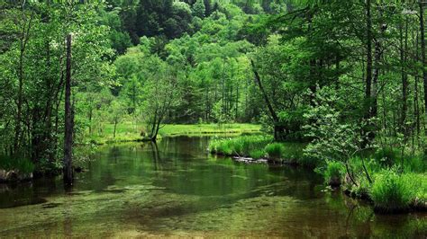 Kamikochi Mountain Forest Japan Stream Healthylife