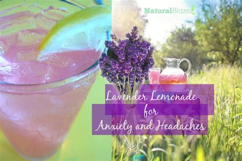 Oldschool Lavender Lemonade The Secret Recipe For Anxiety And Headaches