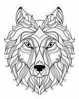 Coloring Wolf Wolves Simple Head Adult Animals sketch template