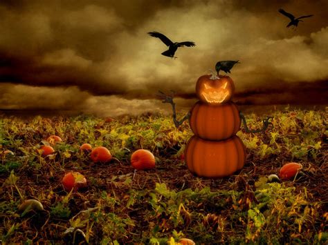 47 Free Fall Wallpapers With Pumpkins