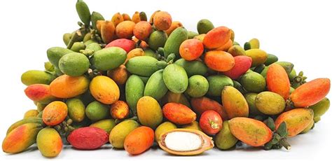 Melinjo Fruit Information Recipes And Facts