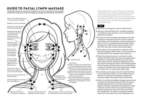 Facial Lymph Massage Direction Guide Poster Printable Etsy