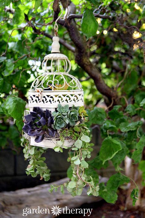 20 Best Decoration Ideas With Birdcage Planters In 2020